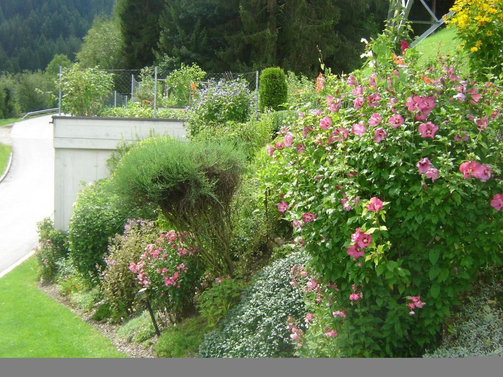 Kainer Ried im Zillertal
